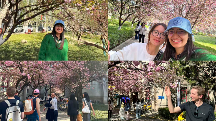 2026-04-06 14:25:15.431000